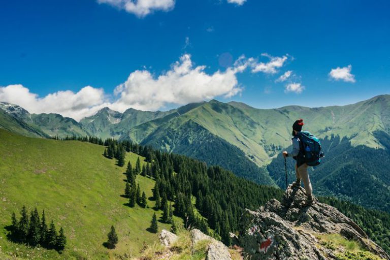 Traveler - man in black t-shirt and blue denim jeans standing on rock near green trees and