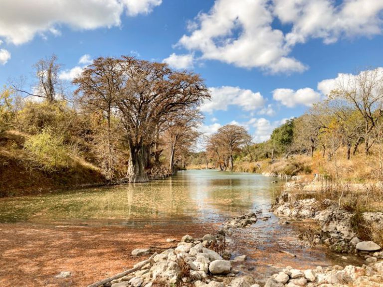 Texas - brown trees beside river under blue sky during daytime