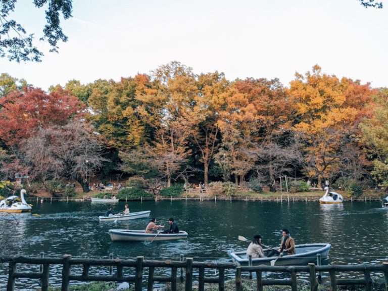 Activities - people riding on boat on river during daytime