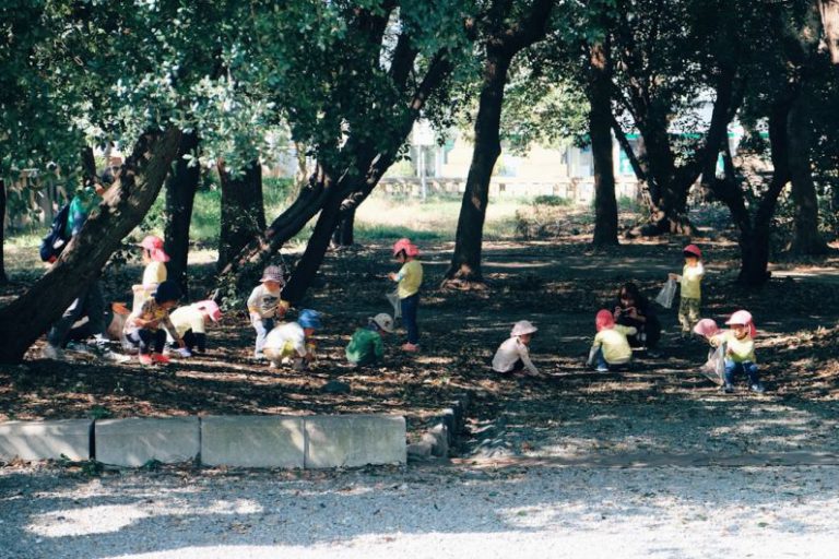 Activities - people sitting on concrete bench near trees during daytime