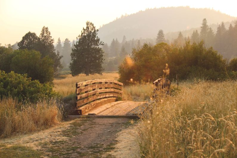 Texas - brown bridge near trees at daytime