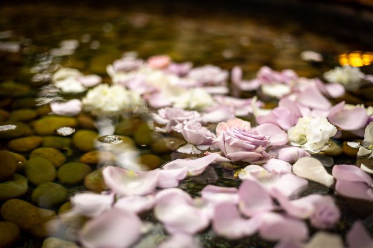 Ranch Wedding - purple and white petals on water with rocks